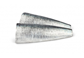 Sardinas en Aceite de Oliva... 2