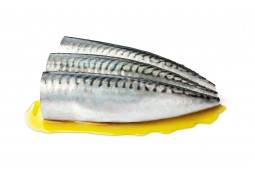 Filetes de Caballa del Sur en Aceite de Oliva Virgen Extra Ecológico, RR-90