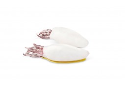 Chipirones en Aceite de Oliva Virgen Extra Ecológico, OL-120