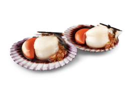 Zamburiñas en Salsa de Vieira con Aceite de Oliva, RO-150