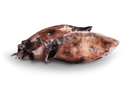 Chipirones Rellenos en su Tinta, OL-120