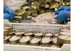 Ventresca de Bonito del Norte en Aceite de Oliva, OL-120