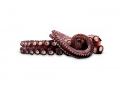 Pulpo en Aceite de Oliva, OL-120